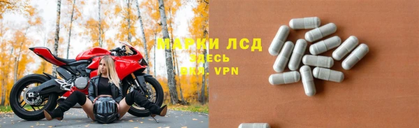 ECSTASY Алзамай