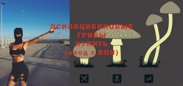 ECSTASY Алзамай