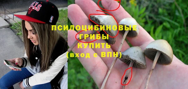 соль курить ск Алексеевка