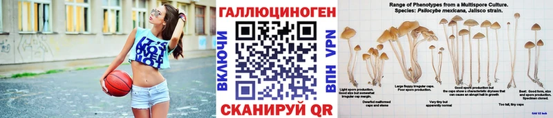наркота  Павловская  Галлюциногенные грибы Cubensis 